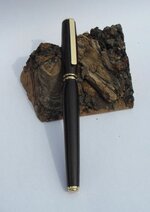 pen pic 4b.jpg