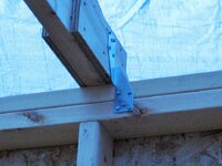 IMG_1534 (2).jpg