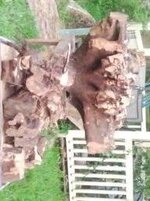 2014-05-25 19.06.10_compressed.jpg