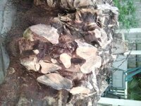 2014-05-25 19.07.11_compressed.jpg