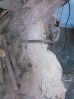 liveedge 006.jpg