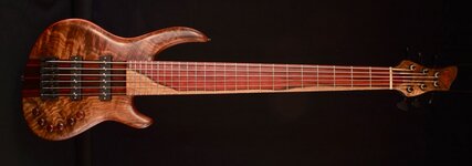 Wyn stock pics (3).jpg