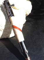 Segmented Deer Antler pen.JPG