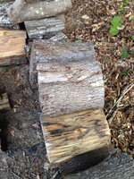 image-4178295271.jpg