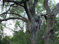 DSCN1721.jpg