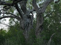 DSCN1714.jpg