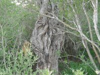 DSCN1715.jpg