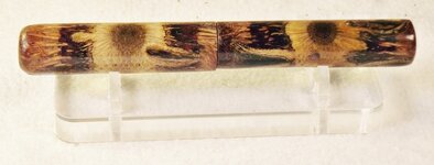 DSCF0006 (800x305).jpg