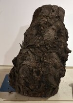 Log.jpg