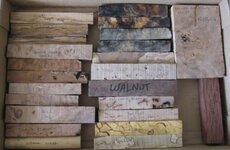 Wood #2 IMG_1304.jpg
