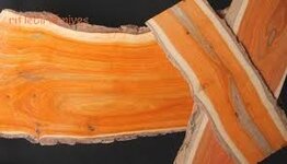 Conkerberry wood.jpg