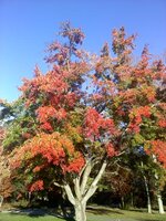 downsized_1114101530 (1).jpg