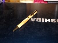 My very first pen-1 (640x480).jpg