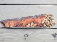 IMG_1039.jpg