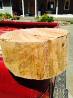 wormy maple blank.JPG