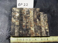 bp22a.JPG bp22a.JPG