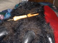 Curly maple pen-1 (640x480).jpg
