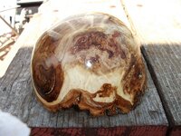 DSCF2950.jpg