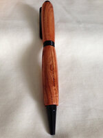 Pen # 3 B1.jpg