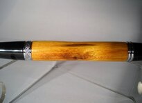 pen 5c.jpg