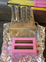 Mold 005.JPG