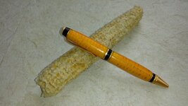 corn cob 1.jpg