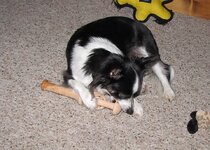 IMG_9132.jpg