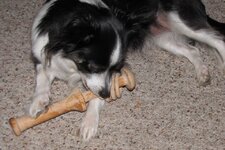 IMG_9133.jpg