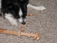 IMG_9138.jpg