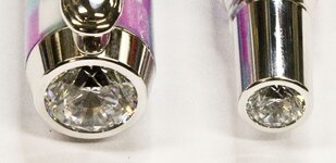 Niki's Delphinium_4.jpg