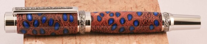Blue Dwarf Banksia Roman Harvest 1.jpg