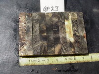 bp23a.JPG bp23a.JPG