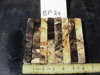 bp24a.JPG bp24a.JPG