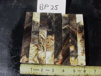 bp25a.JPG bp25a.JPG