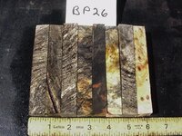 bp26a.JPG bp26a.JPG