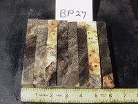bp27a.JPG bp27a.JPG