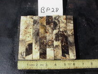 bp28a.JPG bp28a.JPG