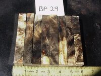 bp29a.JPG bp29a.JPG