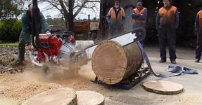 alh-australian-v8-chainsaw-cuts-hardwood-like-beast.jpg