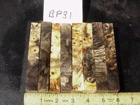 bp31a.JPG bp31a.JPG
