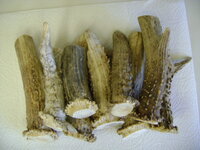 DSC02377.JPG