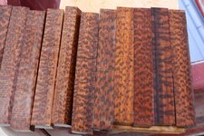 snake wood 1.jpg