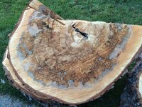 2014-10-06 18.24.09.jpg