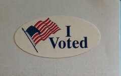 I voted.jpg