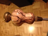 IMG_2261.jpg