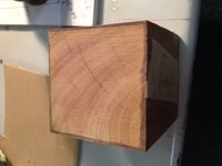 WET WOOD wo.jpg