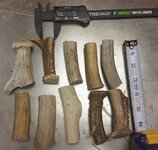 antler1.jpg