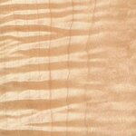 curly-maple-sealed.jpg