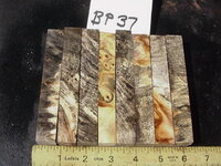 bp37a.JPG bp37a.JPG