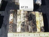 bp39a.JPG bp39a.JPG